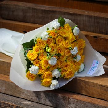 ficus lyatra fiddle fig