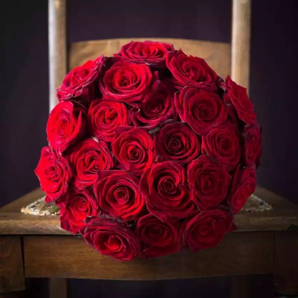 Enigmatic Red Rose