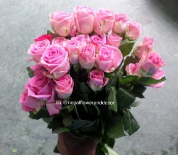 Send Flowers to Nepal,Pink Rose,Fondest affection