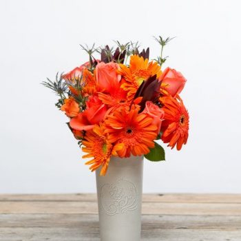 ficus lyatra fiddle fig