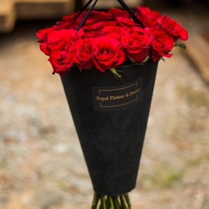 A 40 STEMS