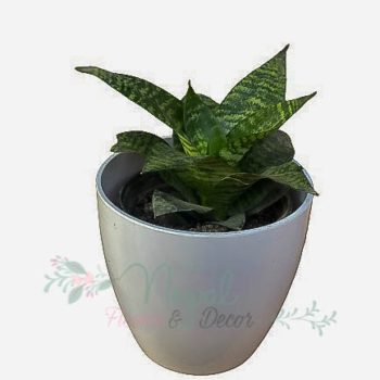 0-02-03-ba156c09bf4124b2f9331d944abee82c55add60b8b578cbdf9a9197f2a1652ff_c6e26adf95857782