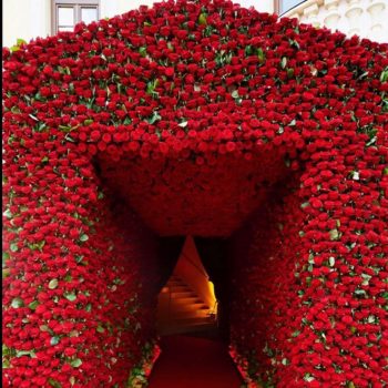 79746625_2351413108303850_72158586242526368_n