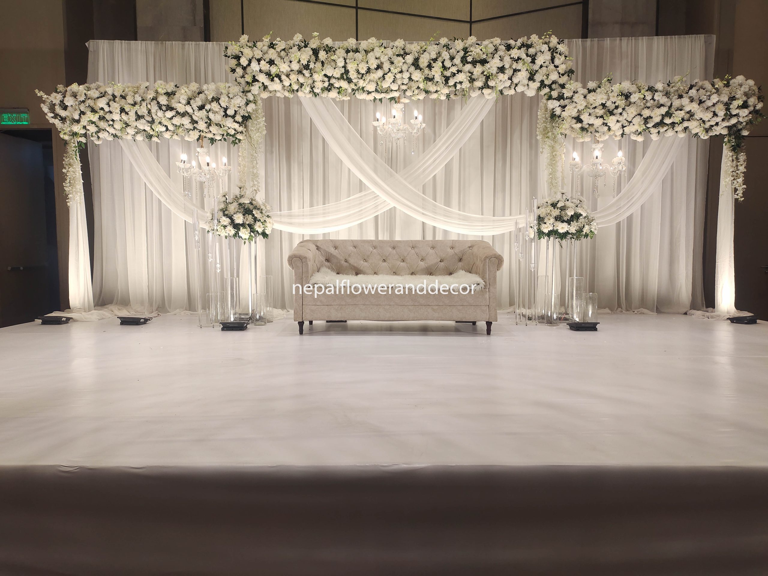 ficus lyatra fiddle fig