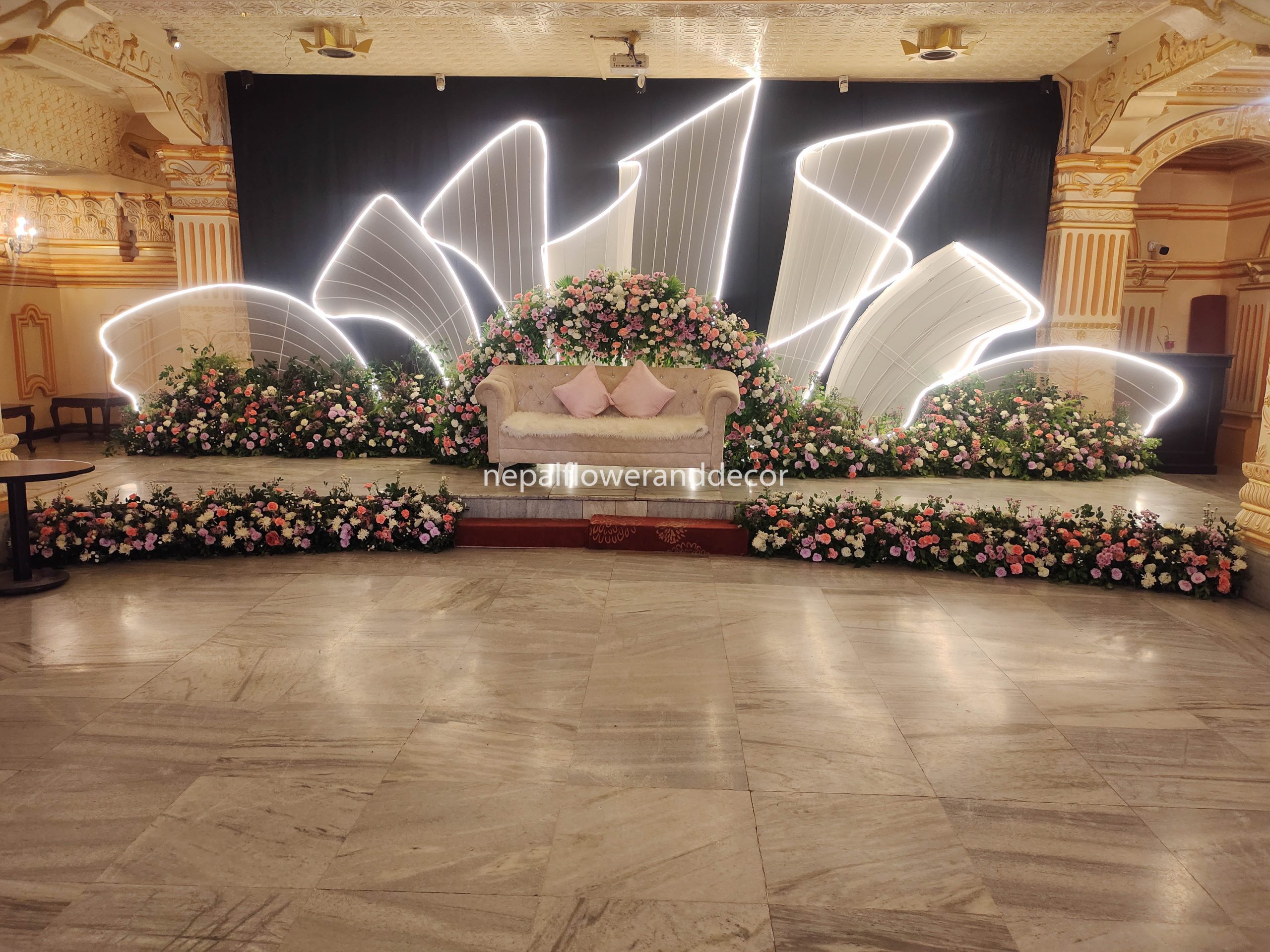 ficus lyatra fiddle fig