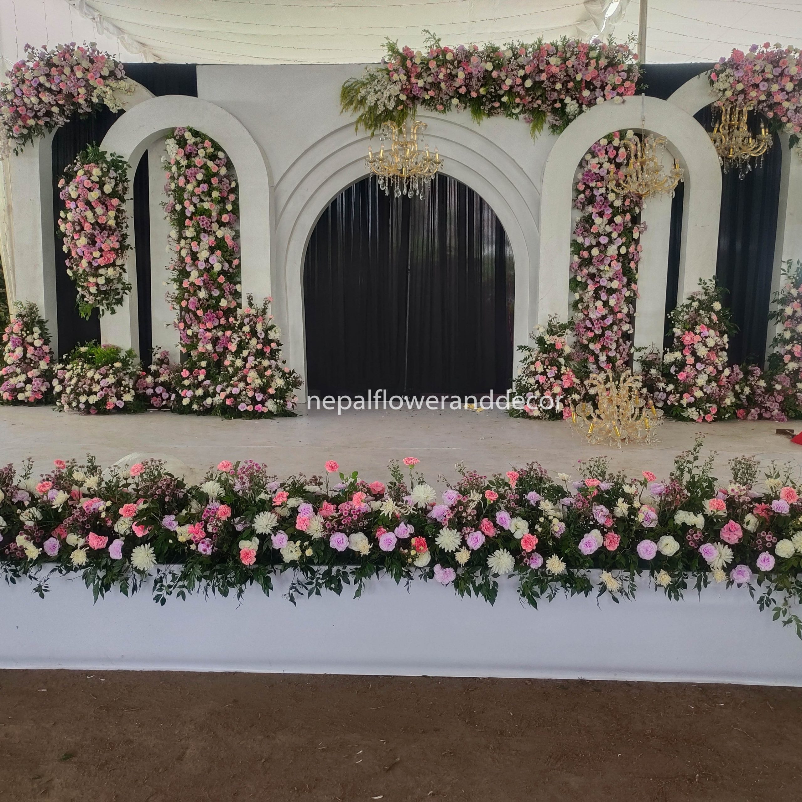 ficus lyatra fiddle fig