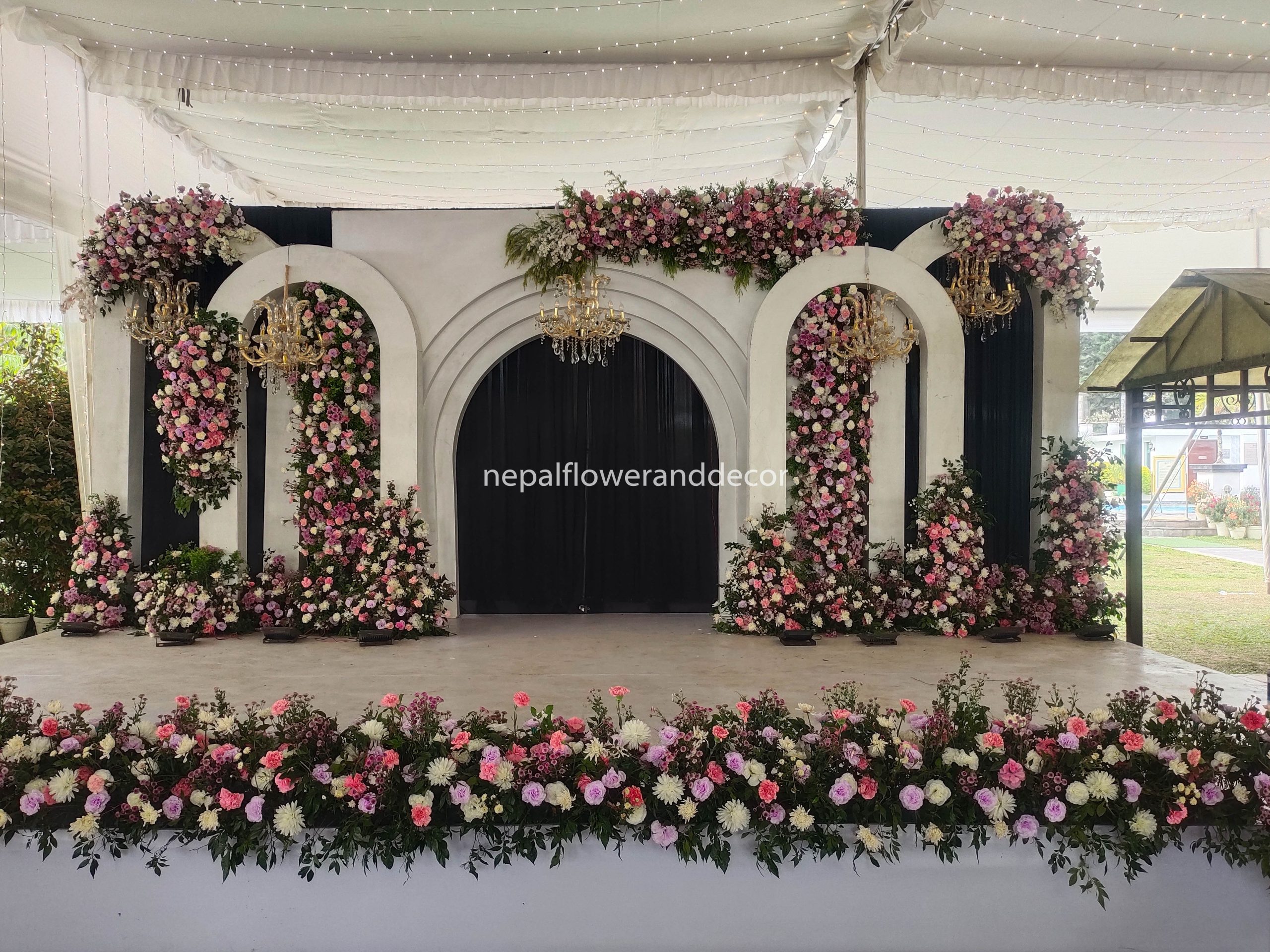 ficus lyatra fiddle fig