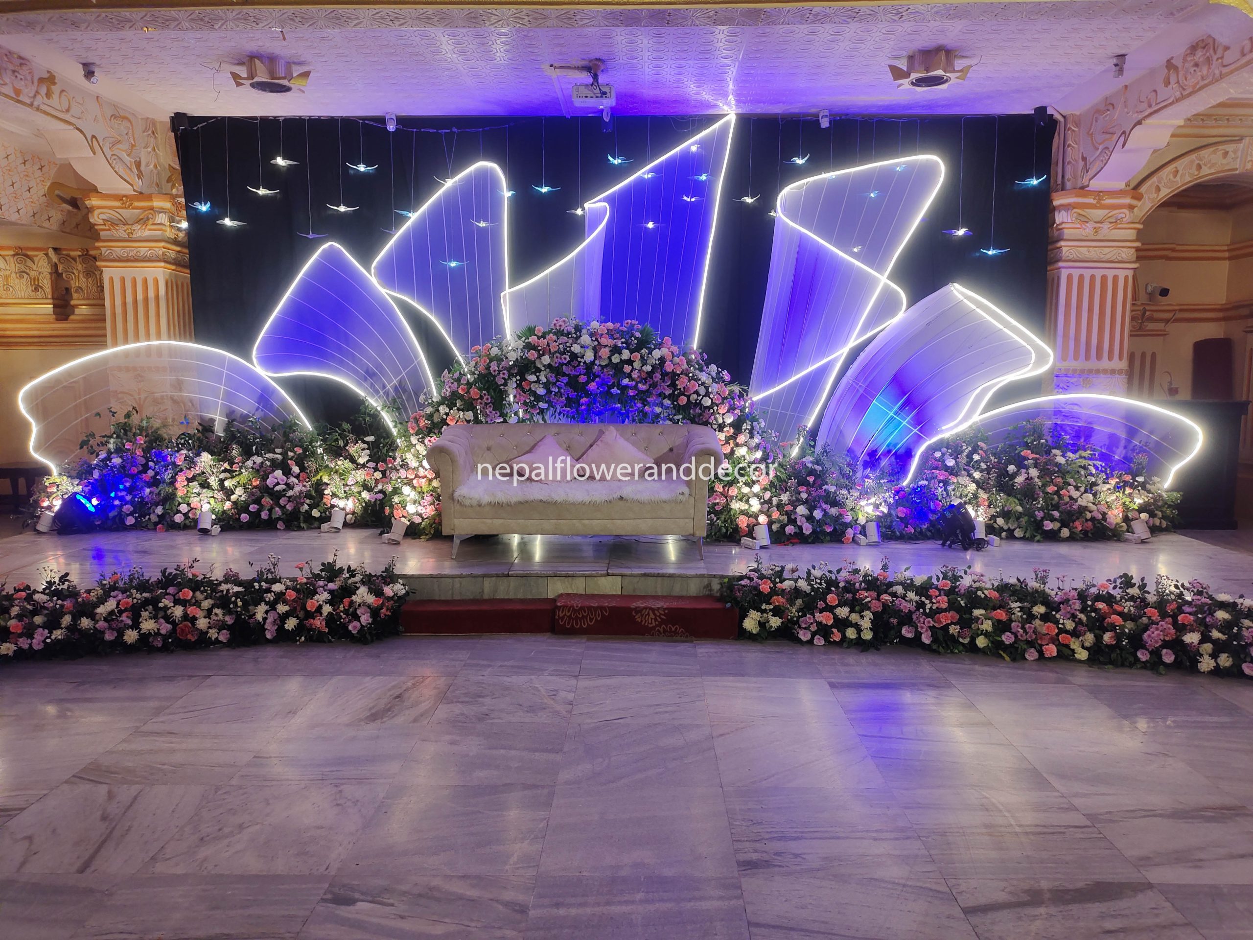 ficus lyatra fiddle fig