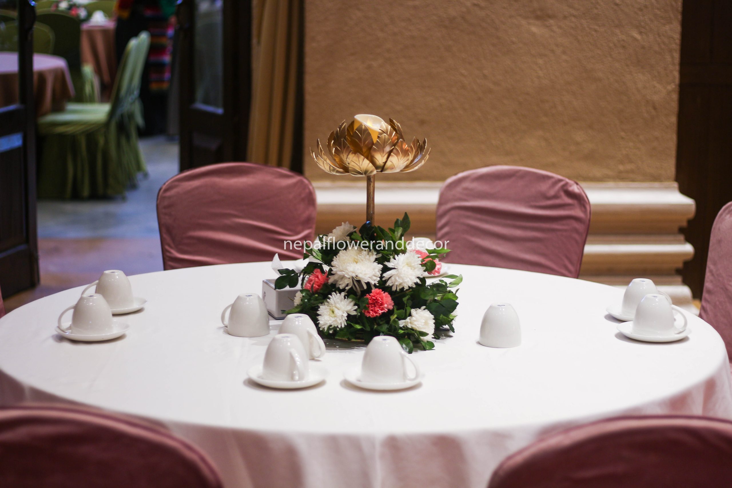 ficus lyatra fiddle fig