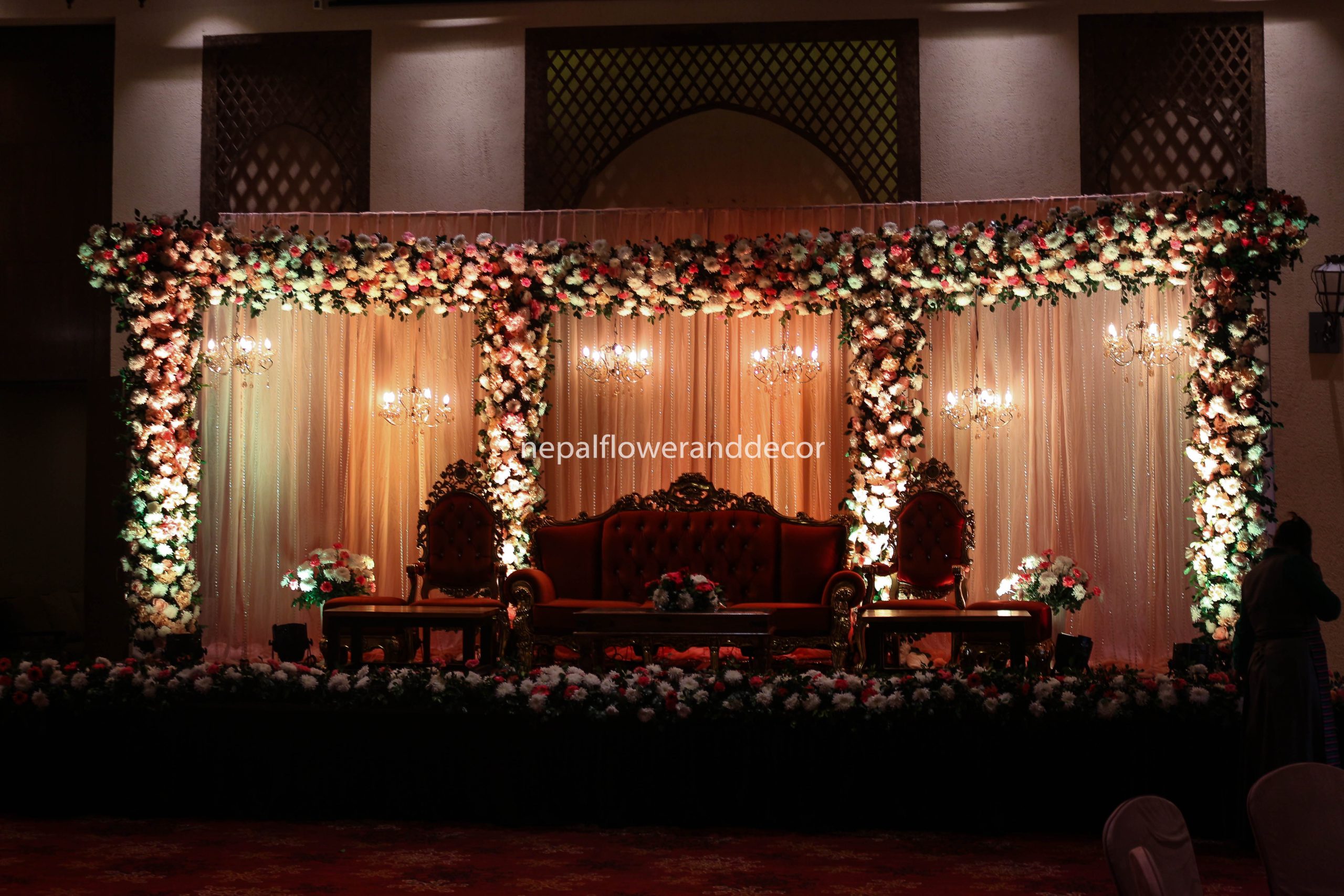 ficus lyatra fiddle fig