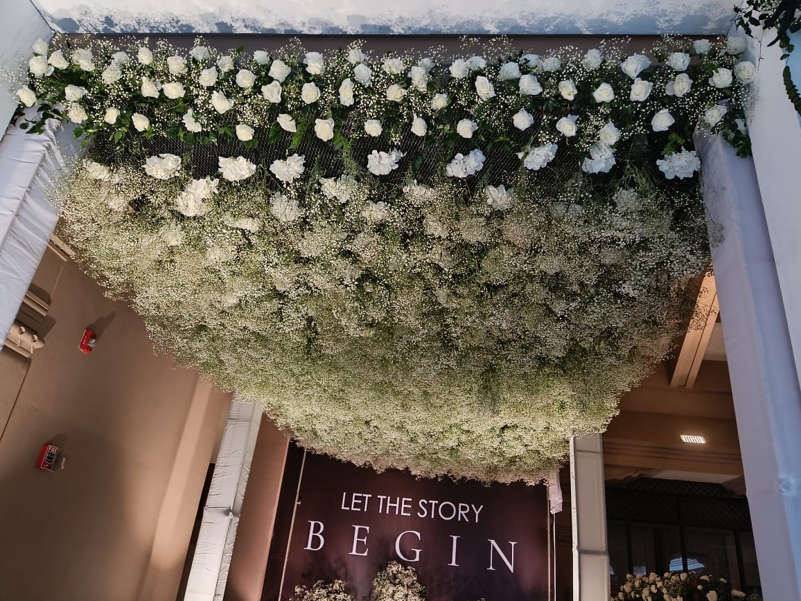 ficus lyatra fiddle fig