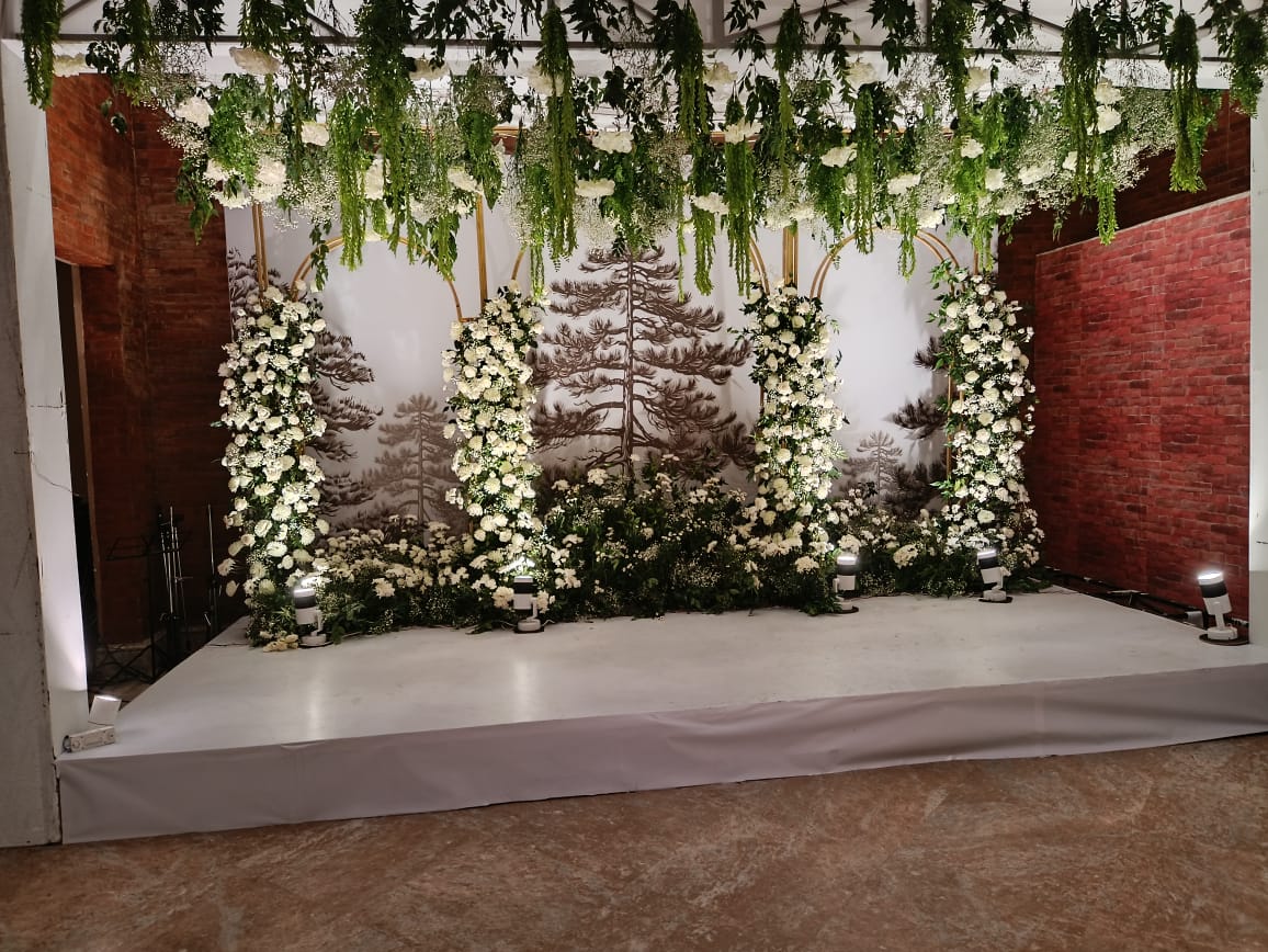 ficus lyatra fiddle fig