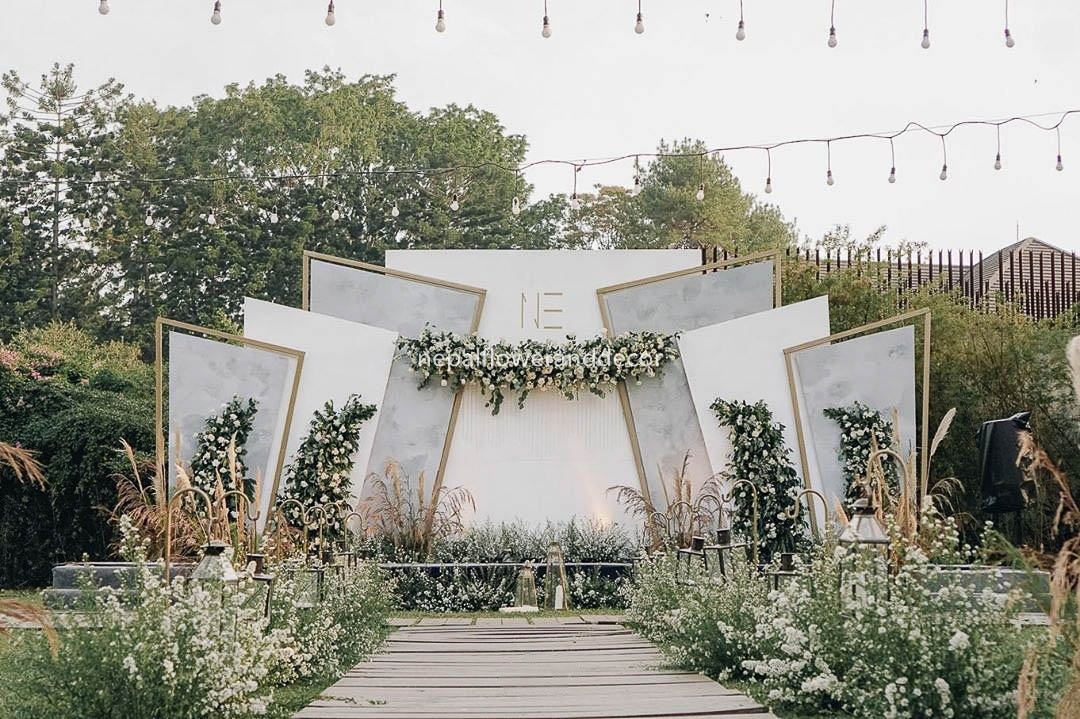 ficus lyatra fiddle fig