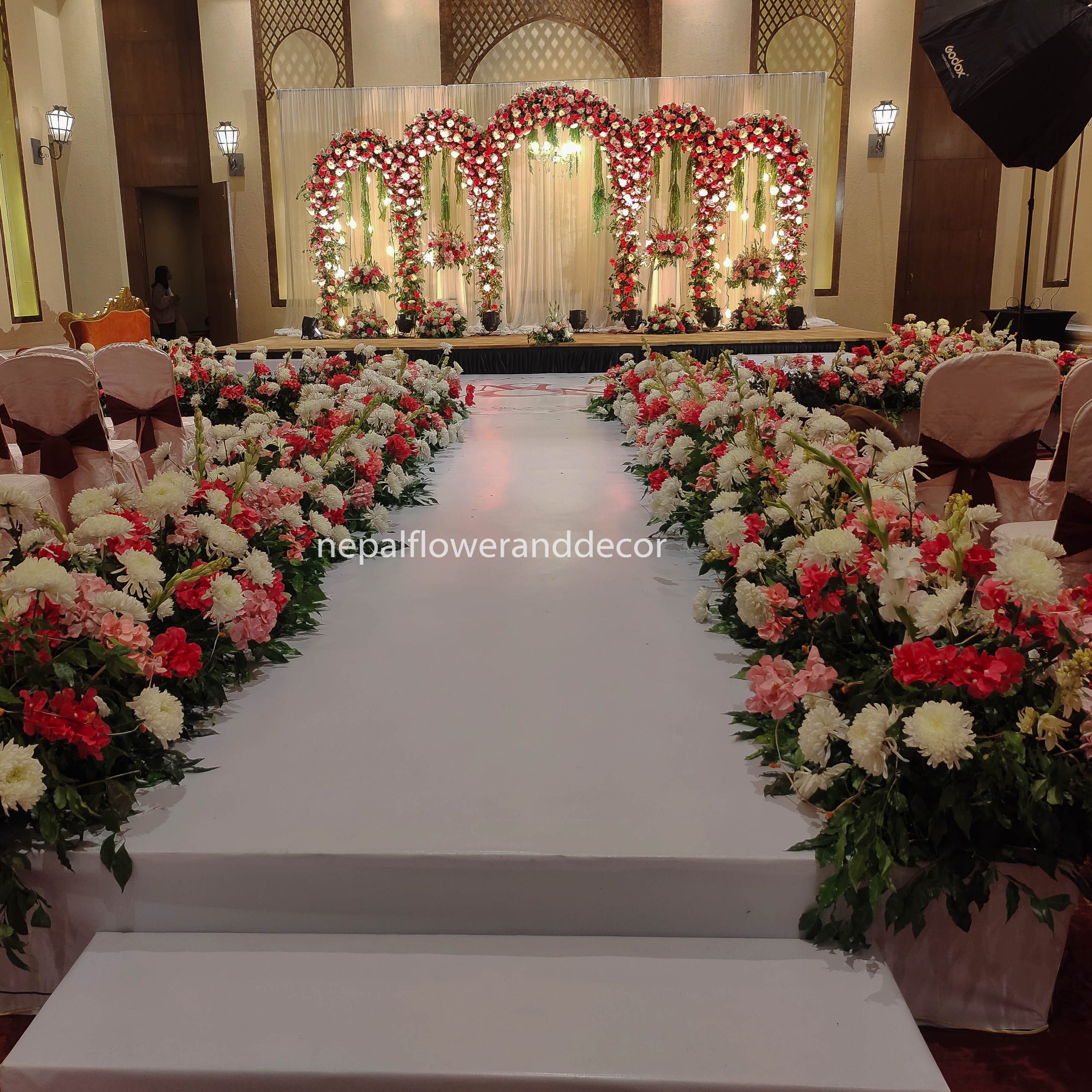 ficus lyatra fiddle fig