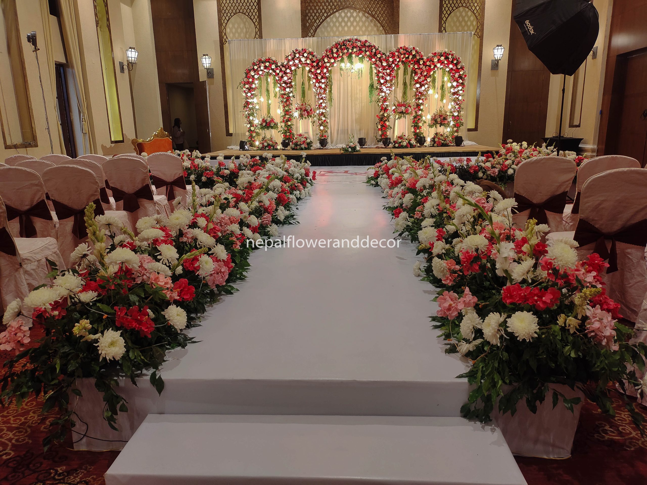 ficus lyatra fiddle fig