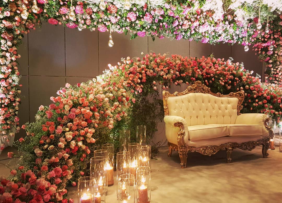 ficus lyatra fiddle fig