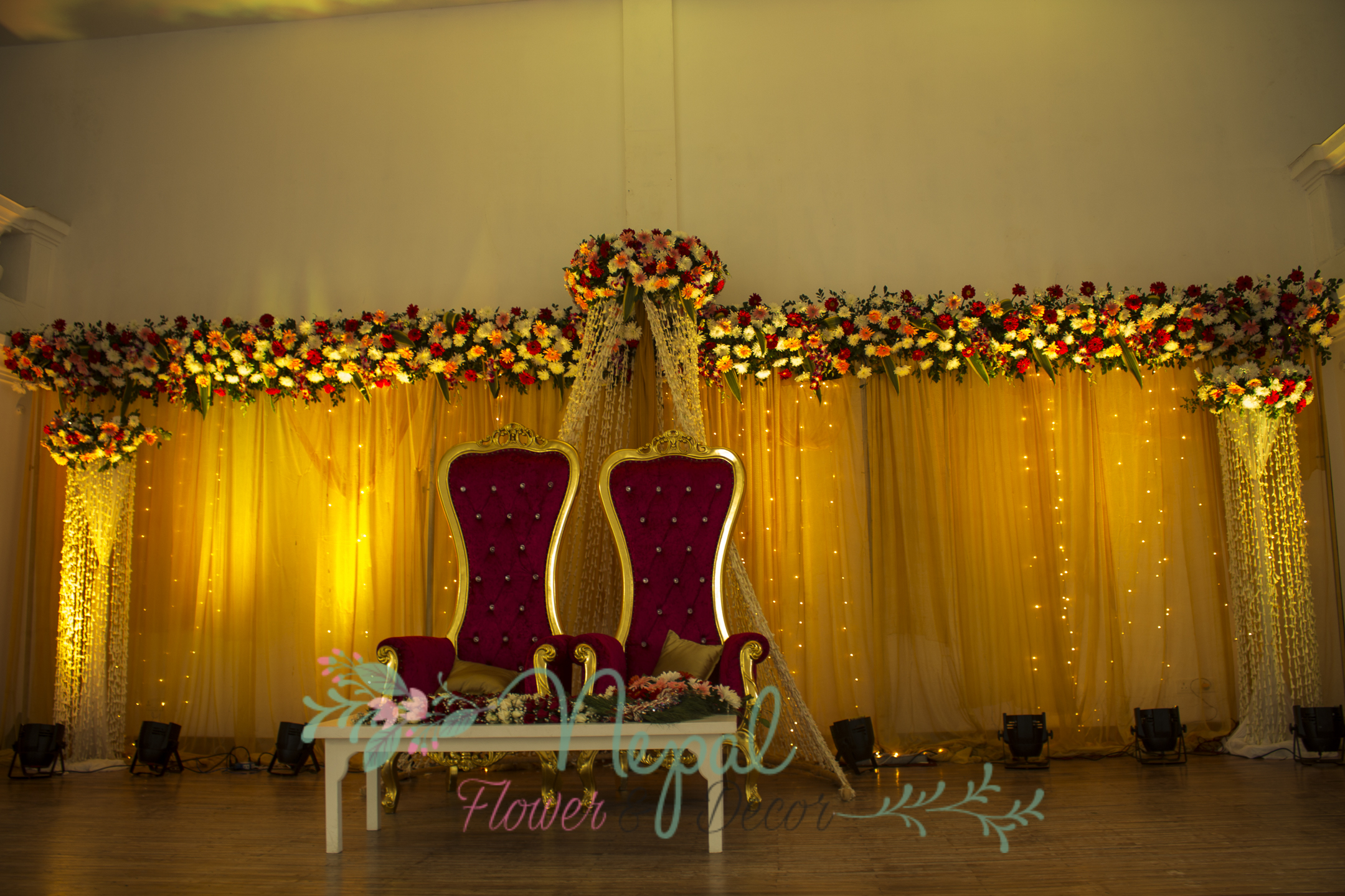 ficus lyatra fiddle fig