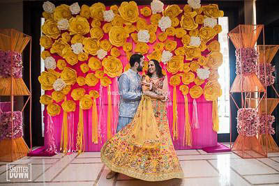 ficus lyatra fiddle fig