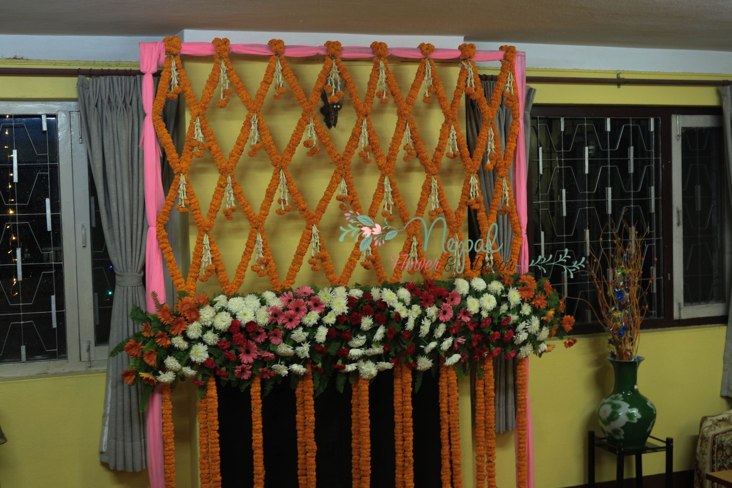 ficus lyatra fiddle fig