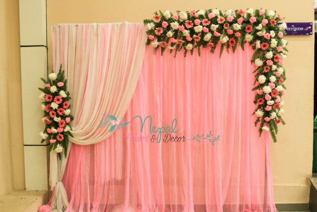 ficus lyatra fiddle fig