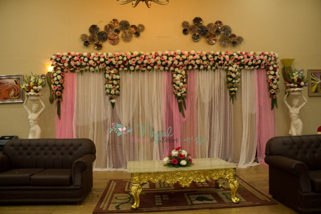 ficus lyatra fiddle fig