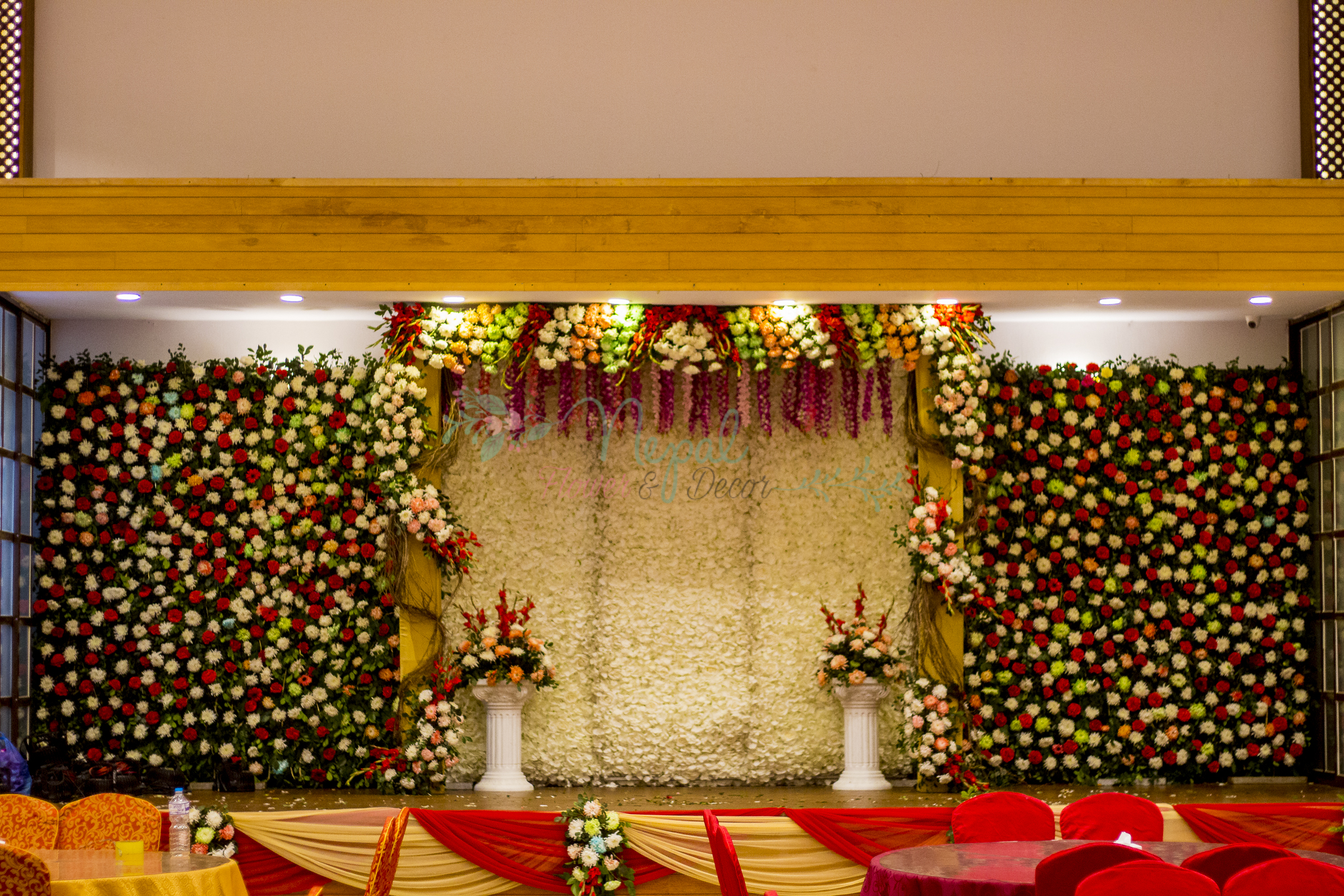 ficus lyatra fiddle fig