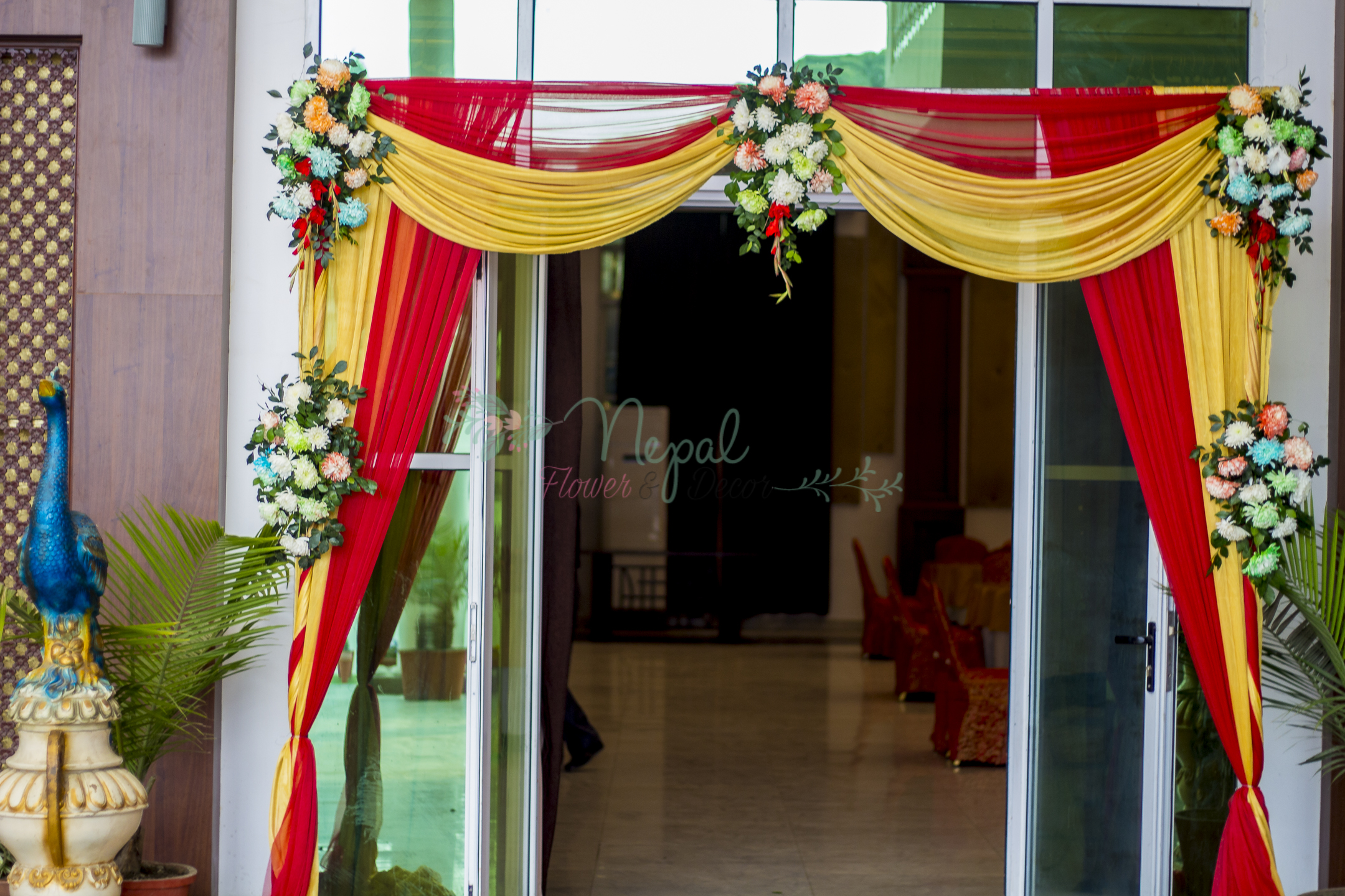 ficus lyatra fiddle fig