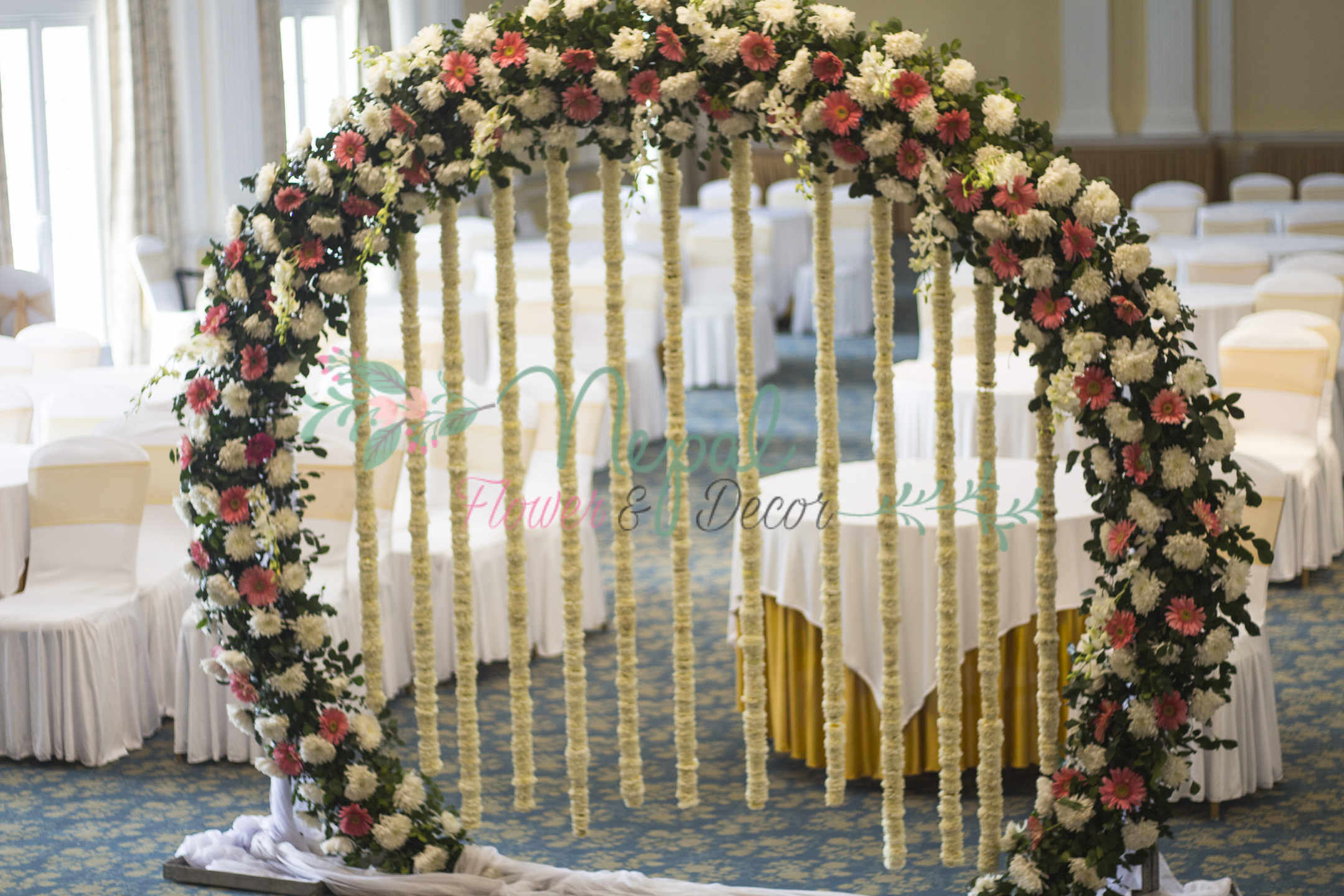 ficus lyatra fiddle fig