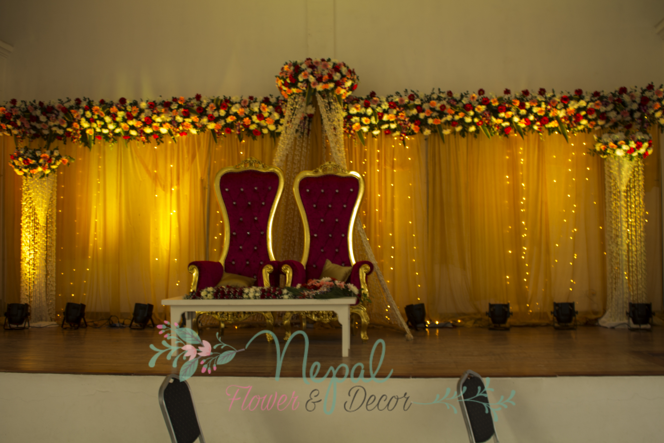 ficus lyatra fiddle fig