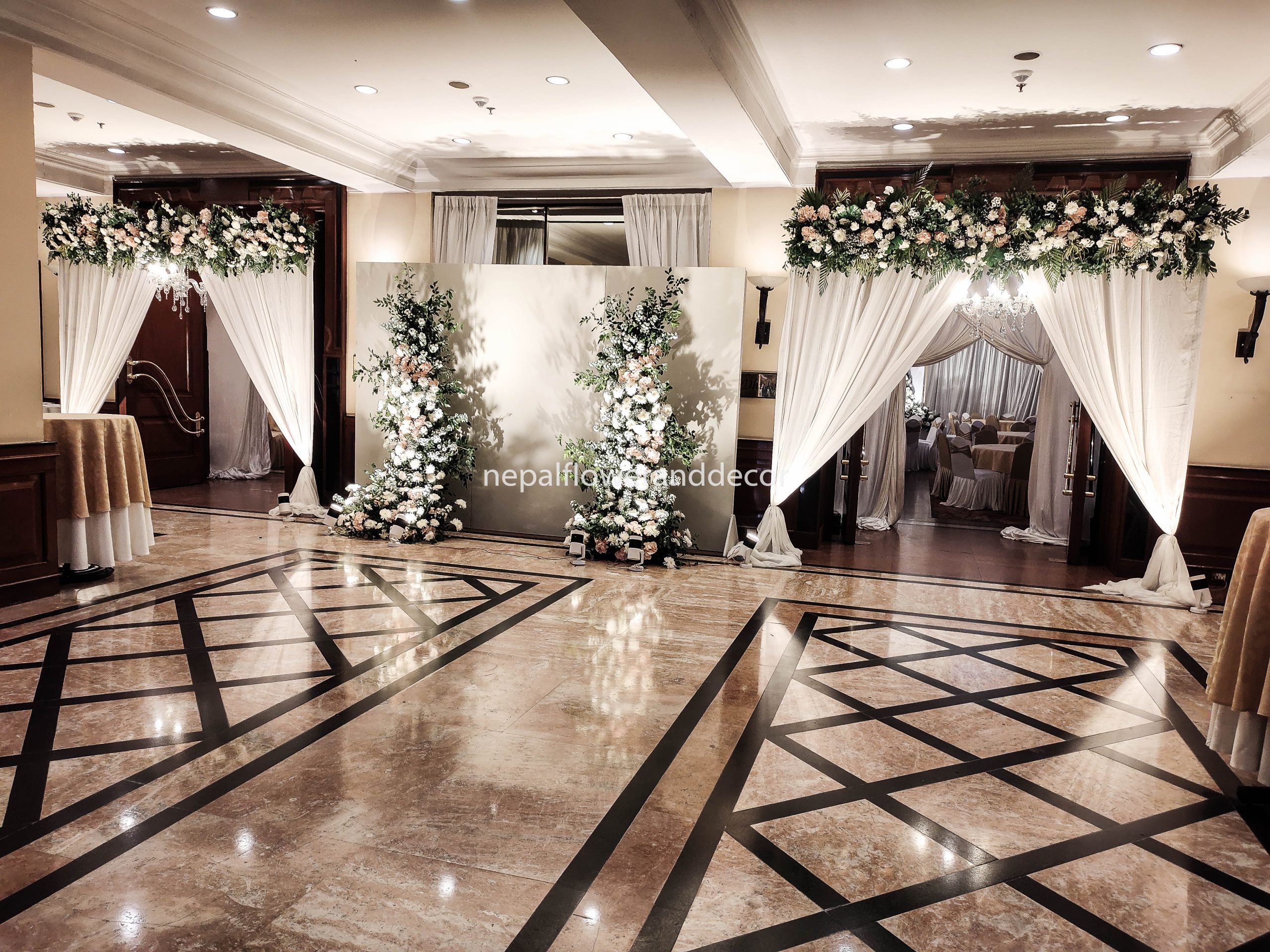 ficus lyatra fiddle fig