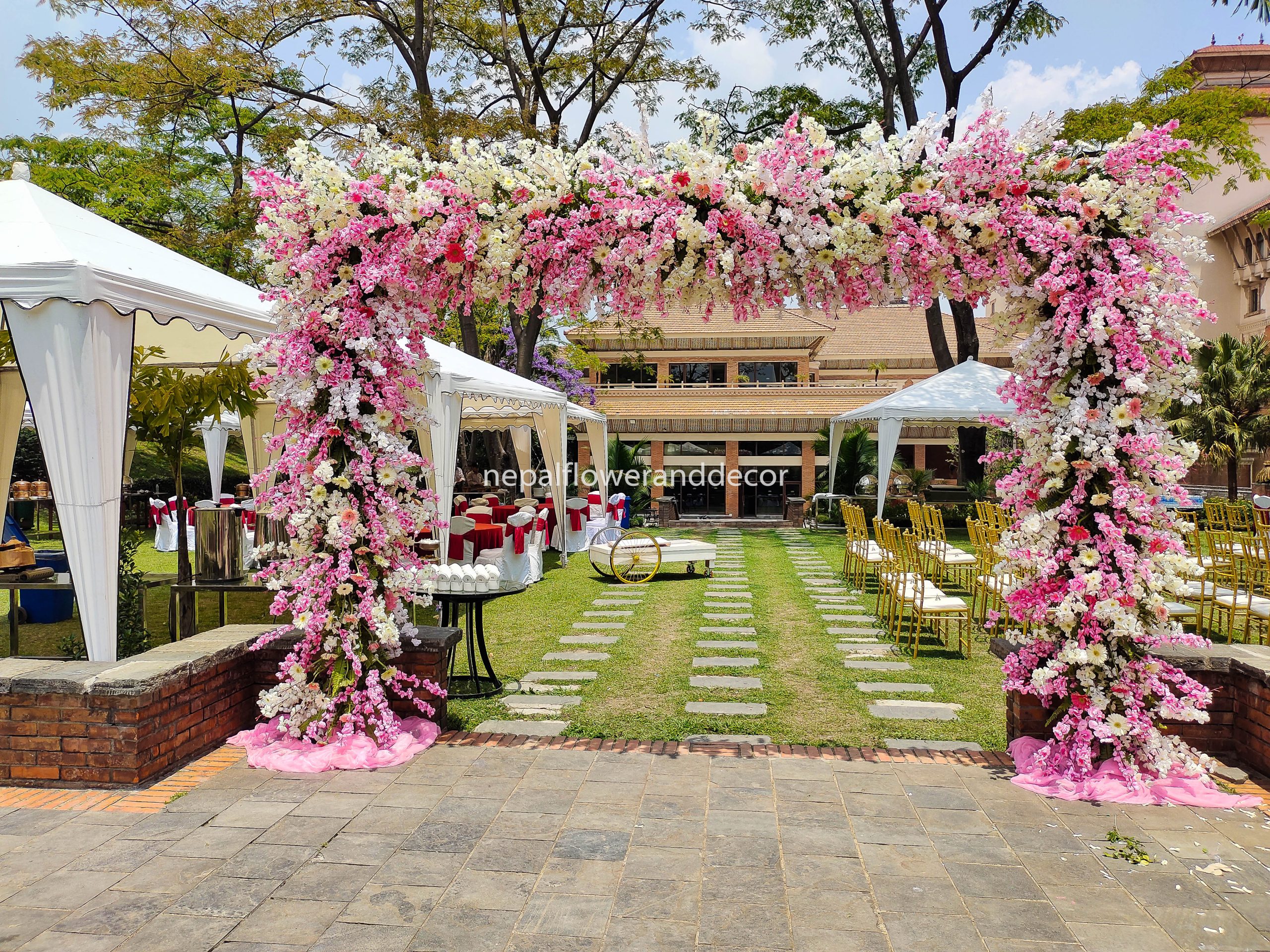 ficus lyatra fiddle fig