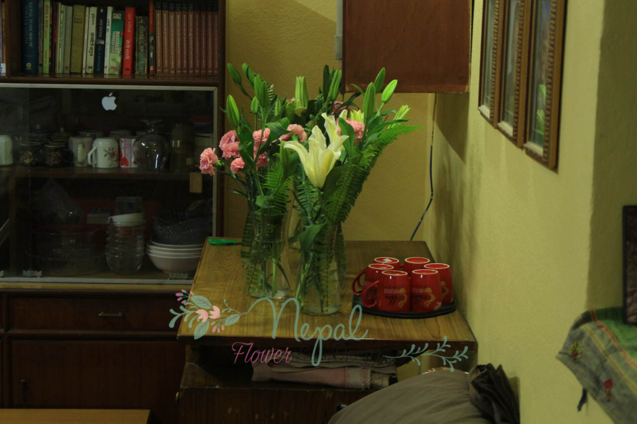 ficus lyatra fiddle fig