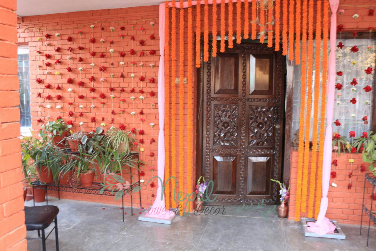 ficus lyatra fiddle fig