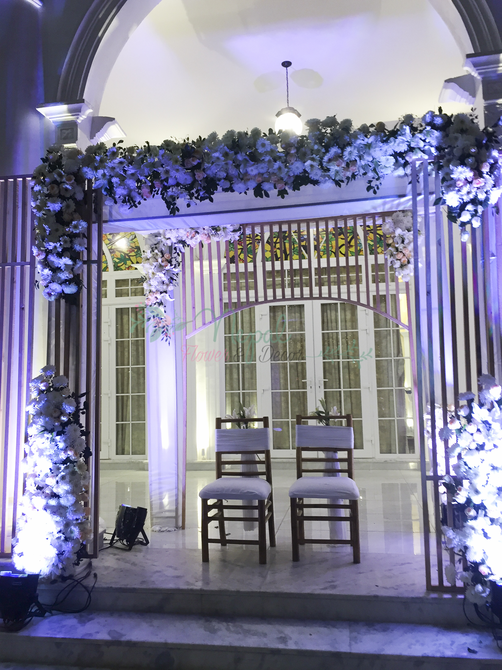 ficus lyatra fiddle fig