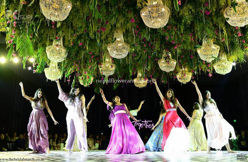 ficus lyatra fiddle fig