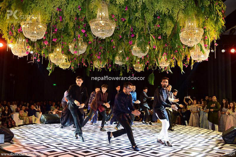 ficus lyatra fiddle fig