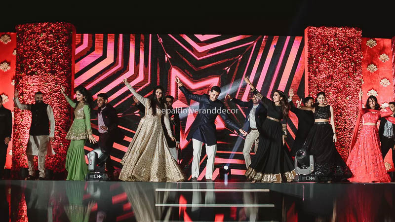 ficus lyatra fiddle fig