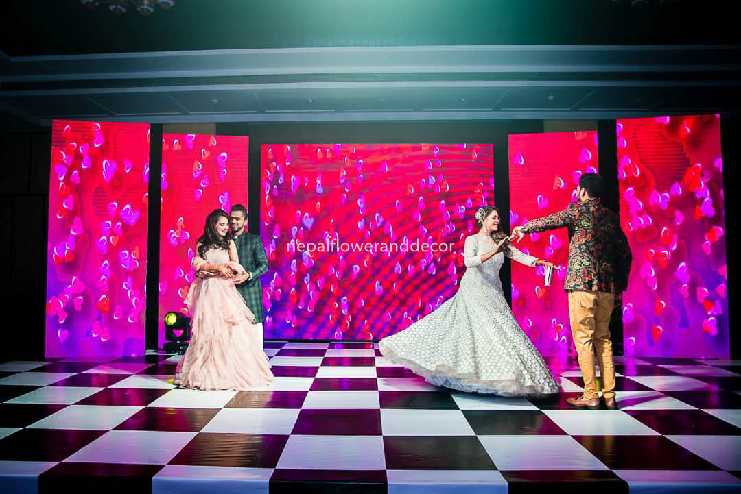 ficus lyatra fiddle fig